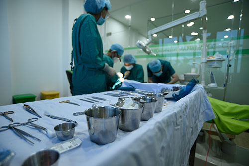 Nha khoa Implantcare Da Nang